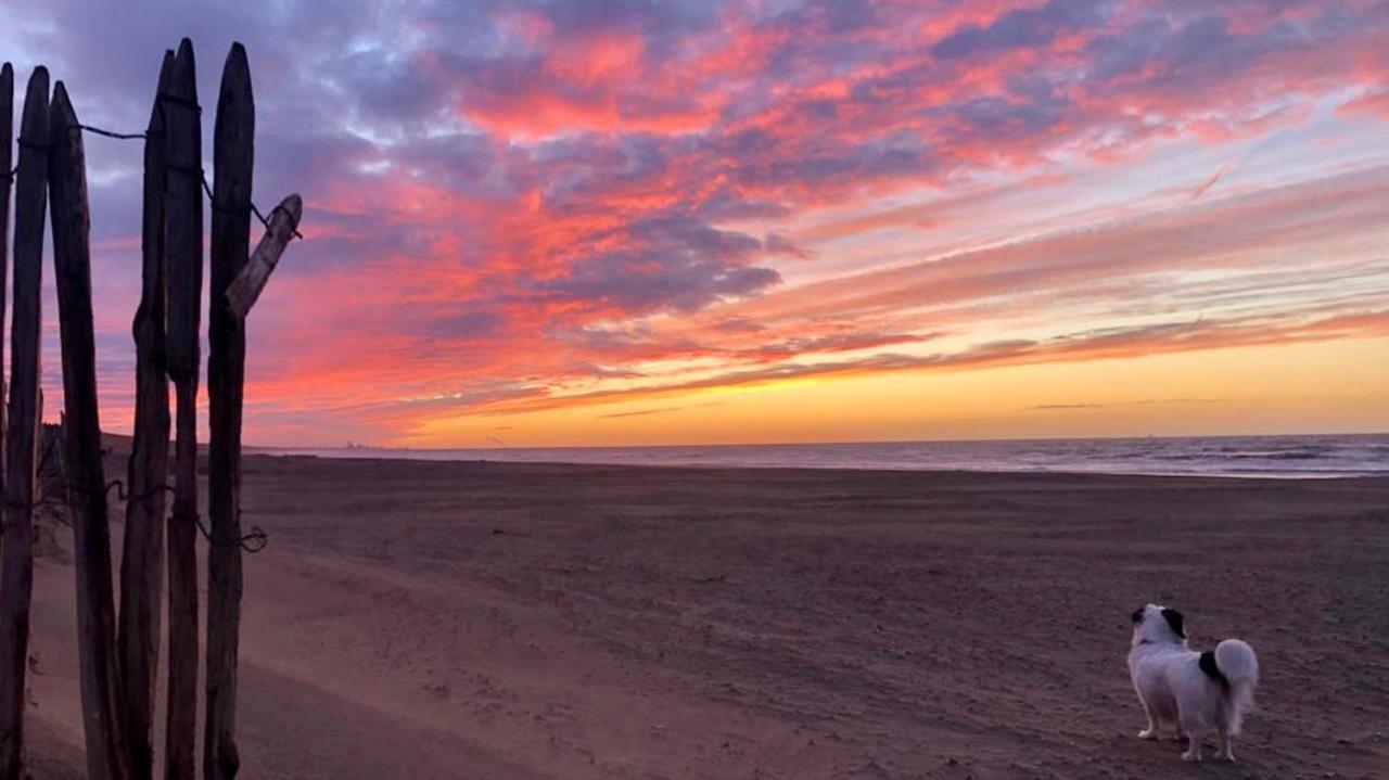 Beach House For You - Luxe Verblijf, 5 Min Van Het Strand Katwijk aan Zee Kültér fotó